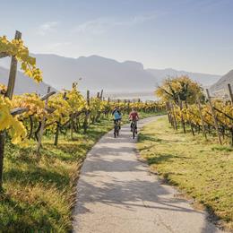 2020-thomas-monsorno-herbst-weinstra-e-highres-2-6idm-suedtirol-alto-adigethomas-monsorno